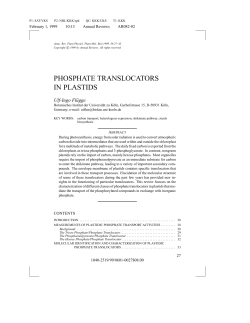 PHOSPHATE TRANSLOCATORS IN PLASTIDS