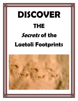 The Laetoli Footprints