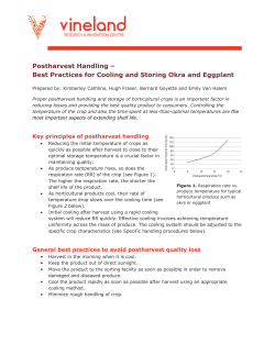 Postharvest Handling &ndash; Best Practices for Cooling and Storing Okra