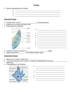 Protists &bull; General characteristics of Protists: . ______