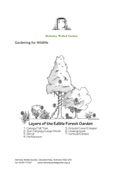 Gardening for Wildlife - Helmsley Walled Garden