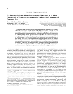 Fcg Receptor Polymorphisms Determine the Magnitude of In Vitro