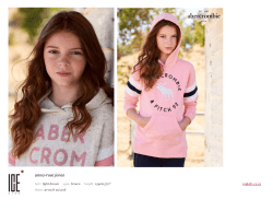 PDF - Ice Model Management