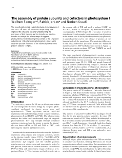The assembly of protein subunits and cofactors in photosystem I