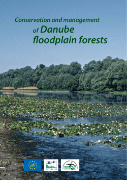 of Danube floodplain forests