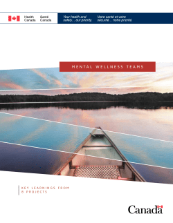 MENTAL WELLNESS TEAMS