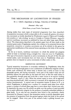 THE MECHANISM OF LOCOMOTION IN SNAKES