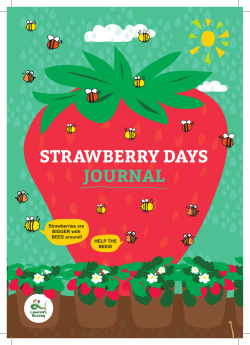 strawberry days journal
