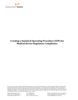 Common Sense Systems Standard Document Template