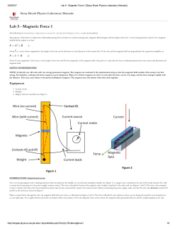 Lab 5 - Magnetic Force 1 - Physics Introductory Labs at Stony Brook