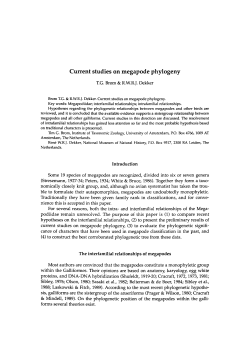 Current studies on megapode phylogeny