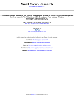 A Group Adaptiveness Perspective