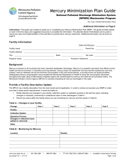 Mercury Minimization Plan Guide - form