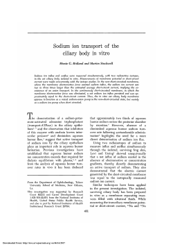 Sodium Ion Transport of the Ciliary Body in Vitro