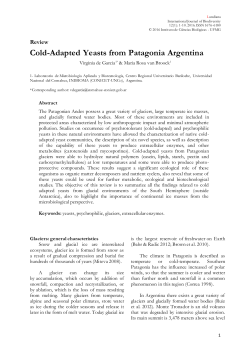 Cold-Adapted Yeasts from Patagonia Argentina