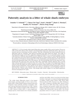 Paternity analysis in a litter of whale shark embryos