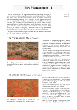 Fire Management-1.22-01