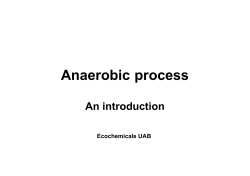 Anaerobic process