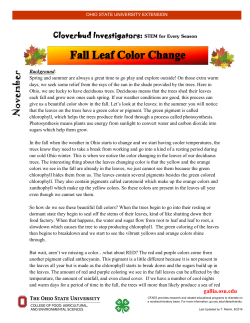 Lesson - OSU Extension | Gallia County