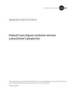 Federal Court dispute resolution services