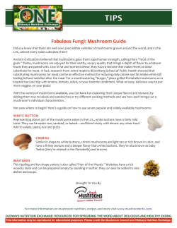 Fabulous Fungi: Mushroom Guide