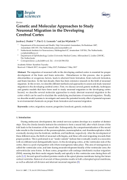 Genetic and Molecular Approaches to Study Neuronal Migration in