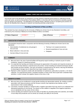 Holding and restraining rodents-consultation-Sept2016
