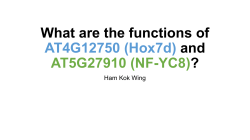 What are the functions of AT4G12750 (Hox7d) and AT5G27910 (NF