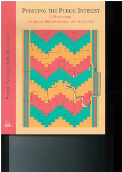 Pursuing the Public Interest: A Handbook for Legal