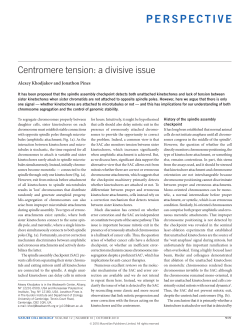 Centromere tension: a divisive issue