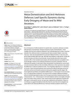 Maize Domestication and Anti-Herbivore Defences: Leaf