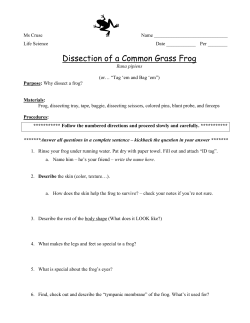 Dissection of a Common Grass Frog