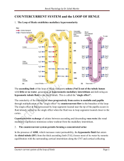 6 Countercurrent System and the Loop of Henle