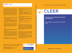 Principles and practices of EU external representation