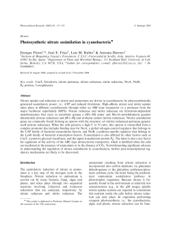 Photosynthetic nitrate assimilation in cyanobacteria