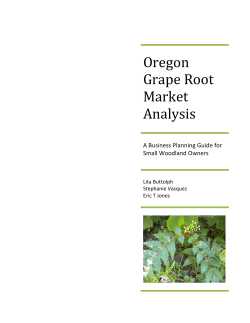 Oregon Grape Root Market Analysis