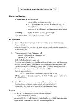 Agarose Gel Electrophoresis Protocol for DNA