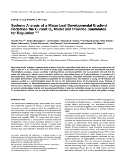 Systems Analysis of a Maize Leaf Developmental