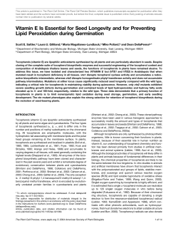 Vitamin E Is Essential for Seed Longevity and for Preventing Lipid