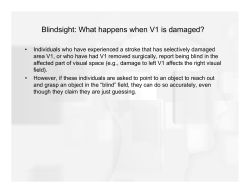 Blindsight: What happens when V1 is damaged?