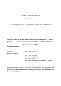 TECHNISCHE UNIVERSITÄT MÜNCHEN Lehrstuhl für