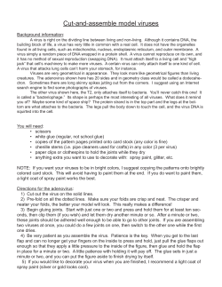 Cut-and-assemble model viruses