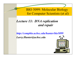 BIO 5099: Molecular Biology for Computer Scientists (et al) Lecture