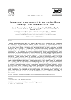 Petrogenesis of ferromanganese nodules from