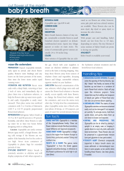 printable PDF - Super Floral