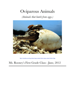 Oviparous Animals