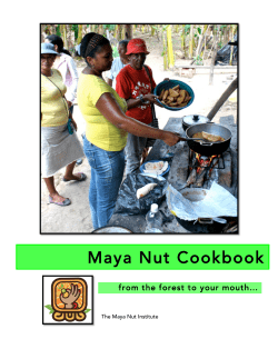 Maya Nut Cookbook - Maya Nut Institute