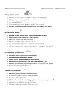 Date: Period_____________ STATION 1