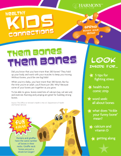 Exercising. - Harmony Health Plan