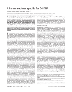 A human nuclease specific for G4 DNA